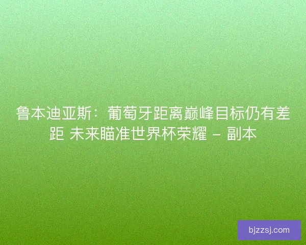鲁本迪亚斯：葡萄牙距离巅峰目标仍有差距 未来瞄准世界杯荣耀 - 副本