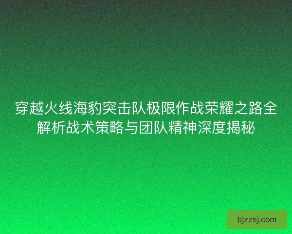 穿越火线海豹突击队极限作战荣耀之路全解析战术策略与团队精神深度揭秘