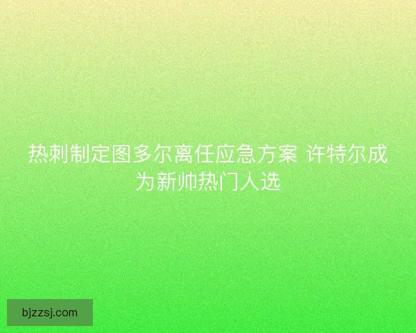 热刺制定图多尔离任应急方案 许特尔成为新帅热门人选