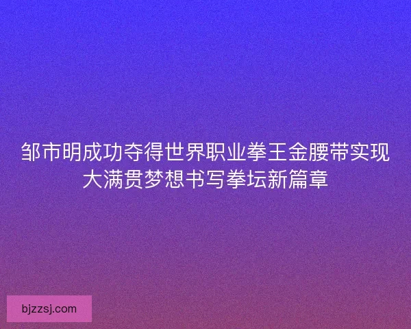 邹市明成功夺得世界职业拳王金腰带实现大满贯梦想书写拳坛新篇章
